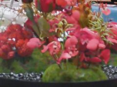 -古韵轩·江浙融合菜(梁溪店)
