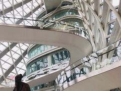 -凤凰中心