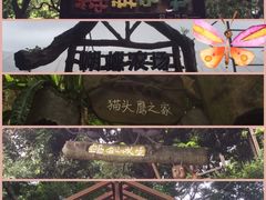 -青青世界