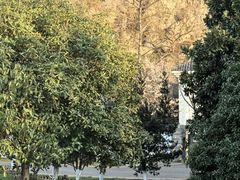 -幕燕滨江·长江观音景区