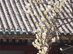 -罔极寺