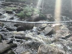 -汤旺河林海奇石景区