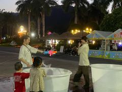 -东南花都花博园