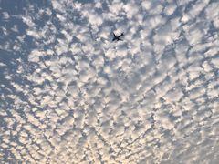 -麦德龙(湖里店)