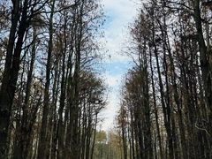 -尚湖风景区
