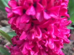 -南通洲际绿博园