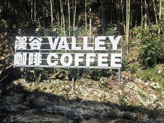 -黄山翡翠谷景区
