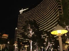 -拉斯维加斯永利酒店