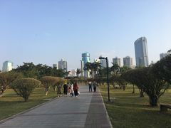 -万绿园