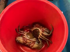 -旗鱼海番村(Orang Asli)