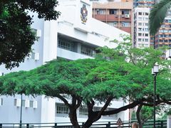 -香港大学