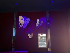 -纯K(打浦桥店)