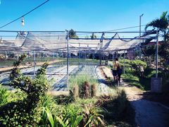 -Ohkajhu Organic Farm Sansai