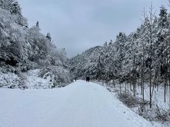 -武陵山森林公园