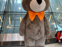 -济州岛泰迪熊博物馆