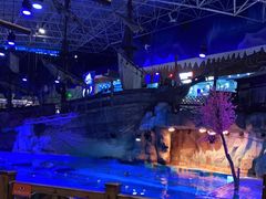 -海合安青岛极地海洋公园