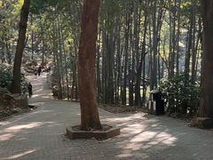 -虞山风景区