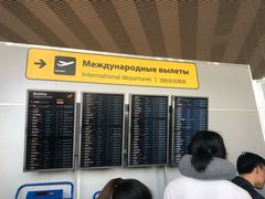 -谢列梅捷沃国际机场