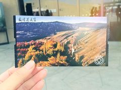 -敦煌莫高窟数字展示中心