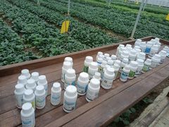 -上膳源有机农场