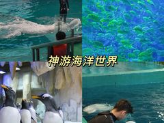 -威海华夏城景区