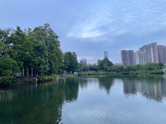-四海公园(南山区)