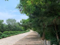 -府君山公园
