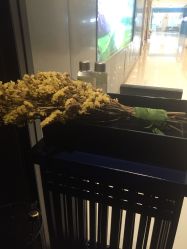 -奈瑞儿美颜塑身SPA