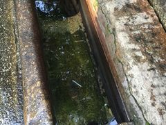 -白沙古井