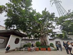-墨池公园