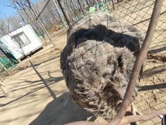 -草根堂农场