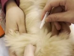 -瑞派康怡24h宠物医院·犬猫医疗中心·微创绝育(瑞景分院)