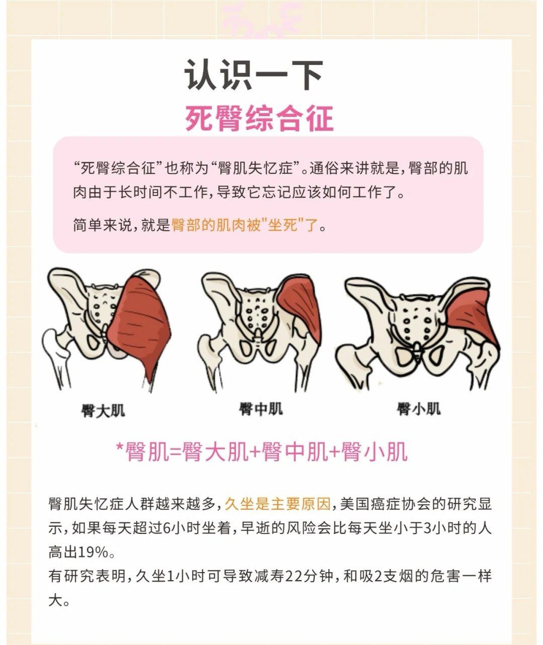 臀部却早就阵亡了
只是没发现👀而已
这叫"臀肌失忆症"又名"si