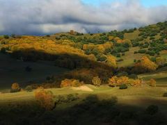 -塞罕坝国家级自然保护区