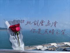 -琴岛之星摩天轮