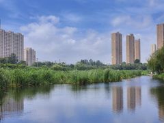 -前关湿地公园