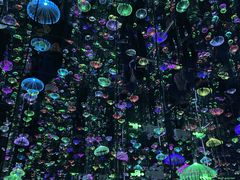 -上海梵高星空艺术馆(南京路旗舰店)