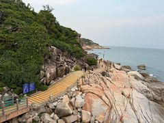 -广东惠东海龟国家级自然保护区
