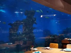 -海棠湾洲际-涛·海底餐厅·美人鱼·自助餐·海底隧道