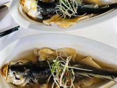 -顺峰(农展馆店)