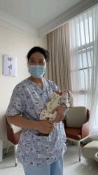 -米诺娃妇女儿童医院·三级妇儿医院