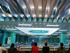 -Swim斯卫姆国际儿童游泳中心(红博中央公园店)