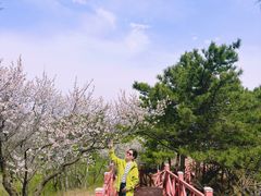-大岭沟猕猴桃谷风景区
