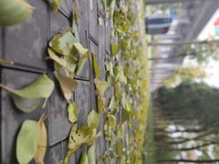 -万达广场(盐城盐都店)