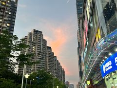 -宝安西湾红树林湿地公园