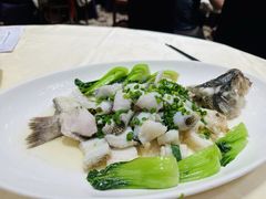 -广东胜利宾馆西关粤中餐厅