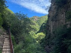 -云岫谷游猎自然风景区