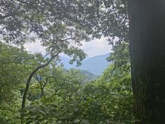 -青城山