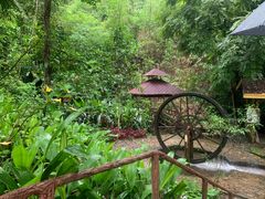 -莫里热带雨林景区