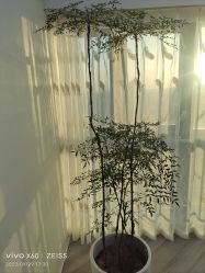 -HEYAN荷妍专业脱毛连锁机构